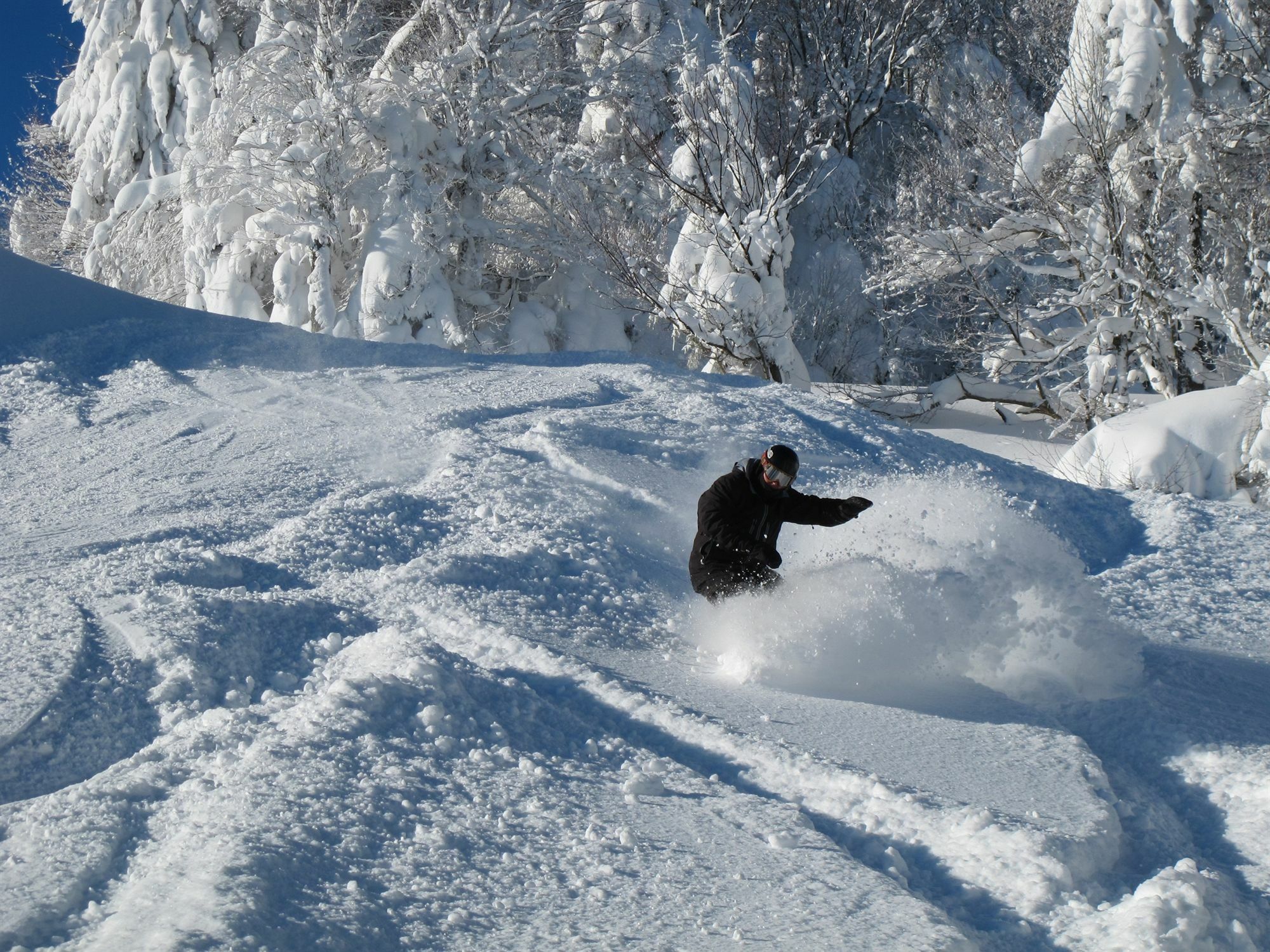 Seneca - Snowshoe Extérieur photo
